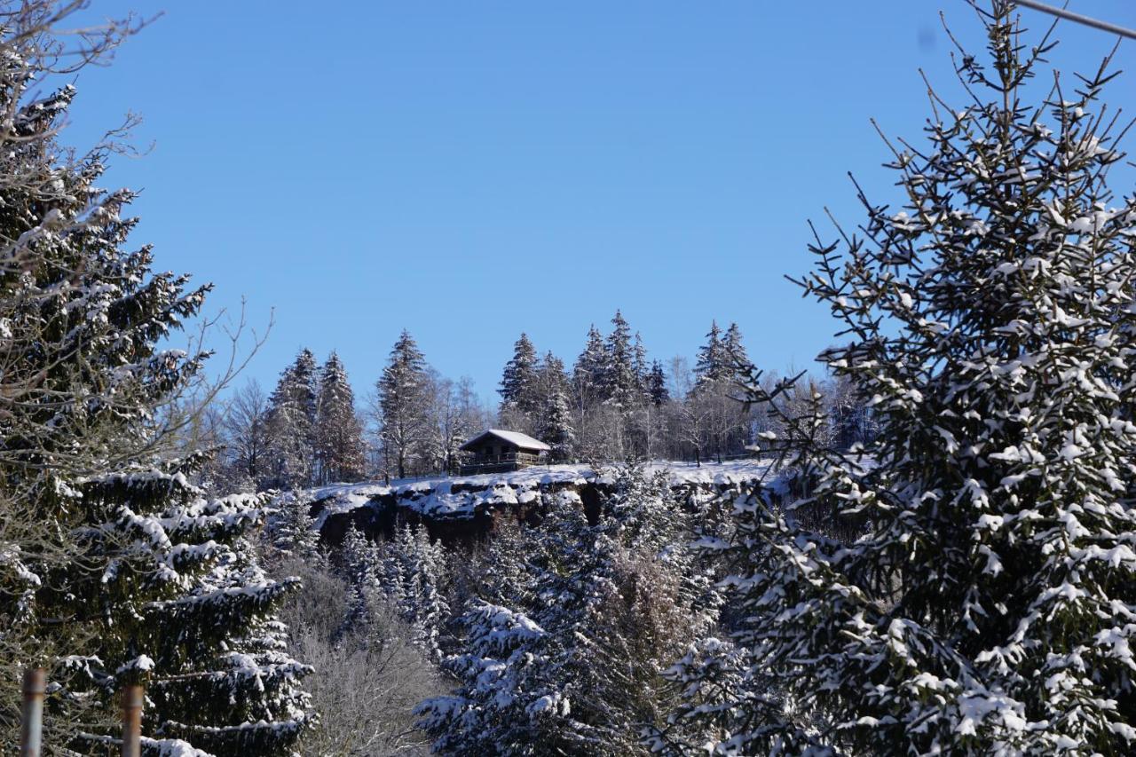 Wanderlust - Thueringer Wald, Rennsteig, Finsterbergen Lägenhet Friedrichroda Exteriör bild