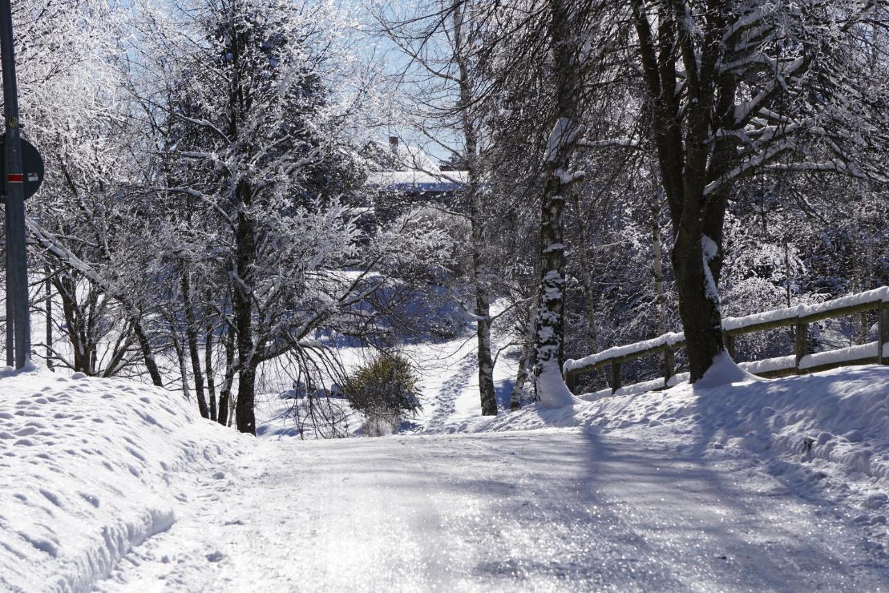 Wanderlust - Thueringer Wald, Rennsteig, Finsterbergen Lägenhet Friedrichroda Exteriör bild